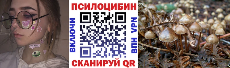hydra маркетплейс  Чистополь  Псилоцибиновые грибы Cubensis 