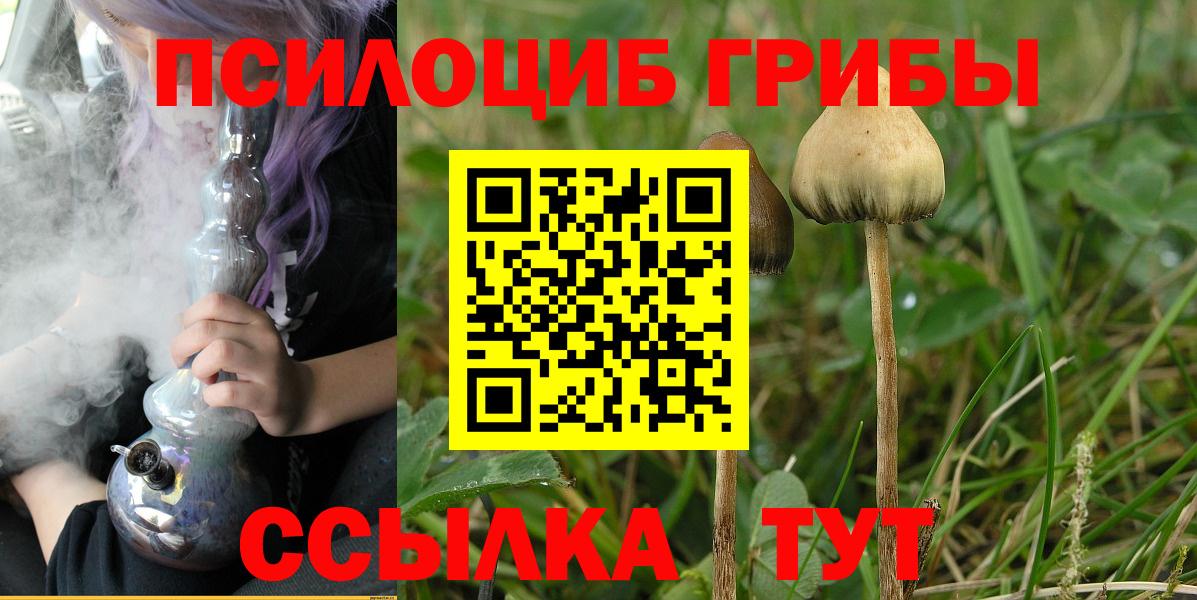Галлюциногенные грибы мухоморы Чистополь